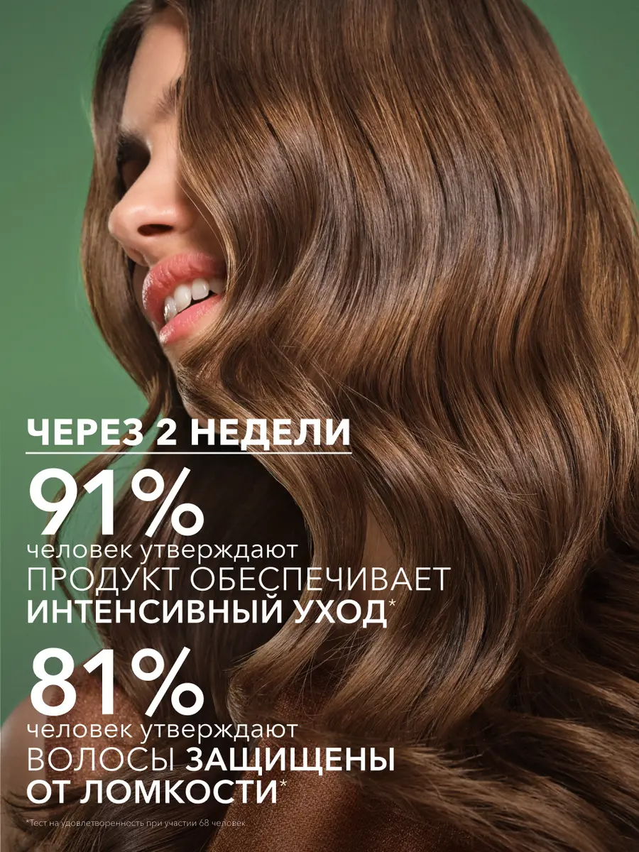 шам6